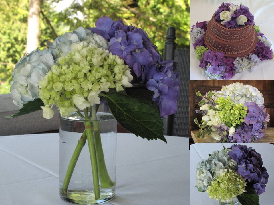 Simple centerpieces of multicolored hydrangea adorned the tables and 