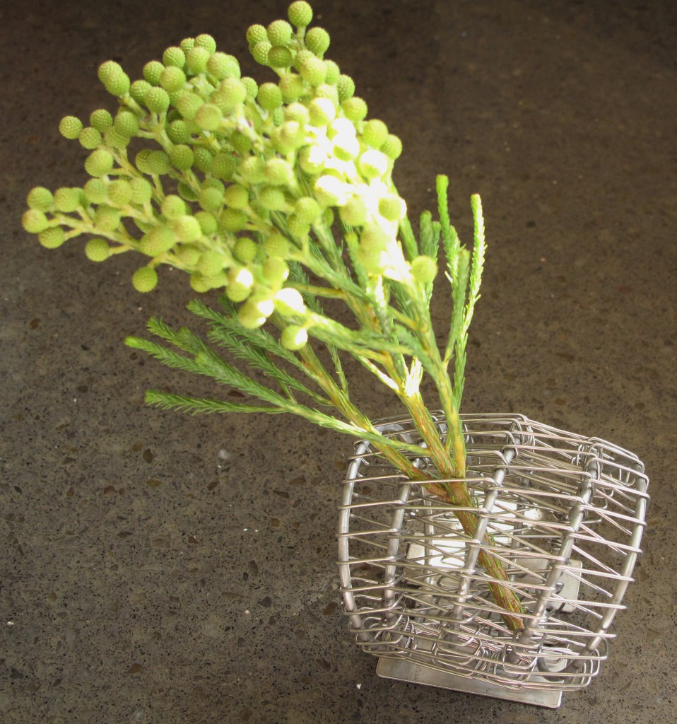 Featured image of post Floral Cage Arranger / This piece has been made using a metal birdcage that is painted white and has been.